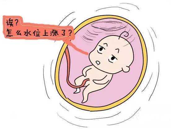 代生需要多少钱_代怀花多少钱,现如今amh低于多少不能做试管！附试管流程介绍！